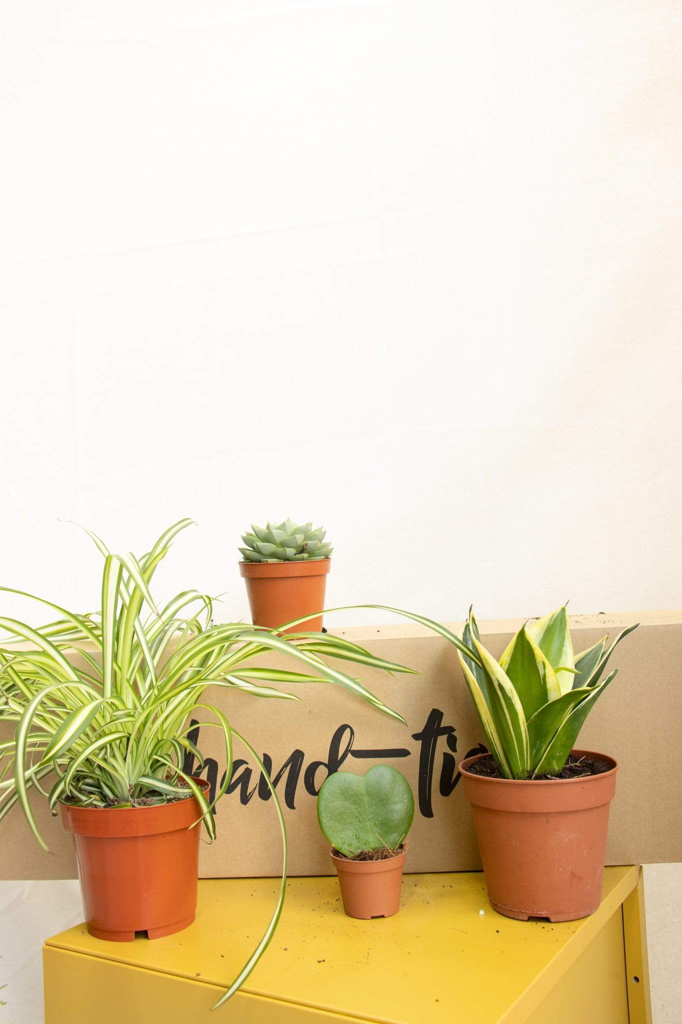 Prime Plant Subscription