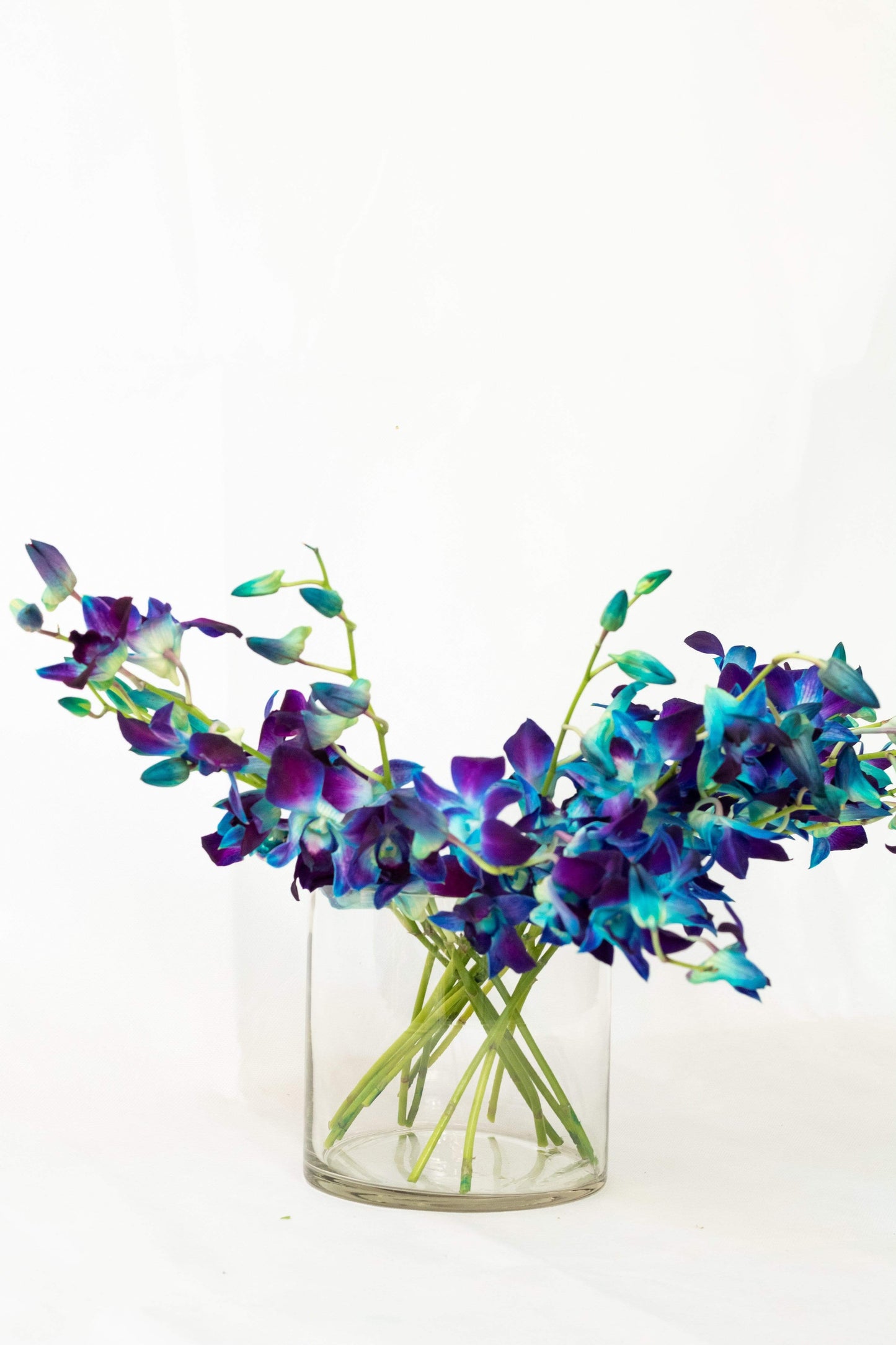 Short Cylindrical Vase Glass Vases
