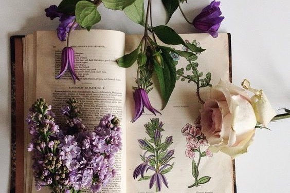 Everything you need to know about pressed flowers