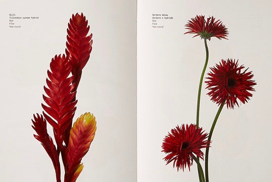 The best flower books