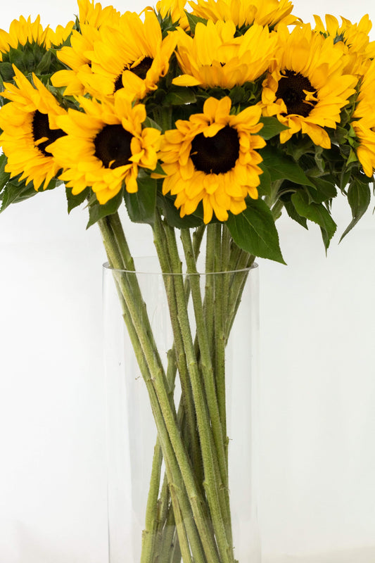 Tall Cylindrical Vase Glass Vases