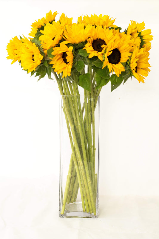 Tall Rectangular Vase Glass Vases