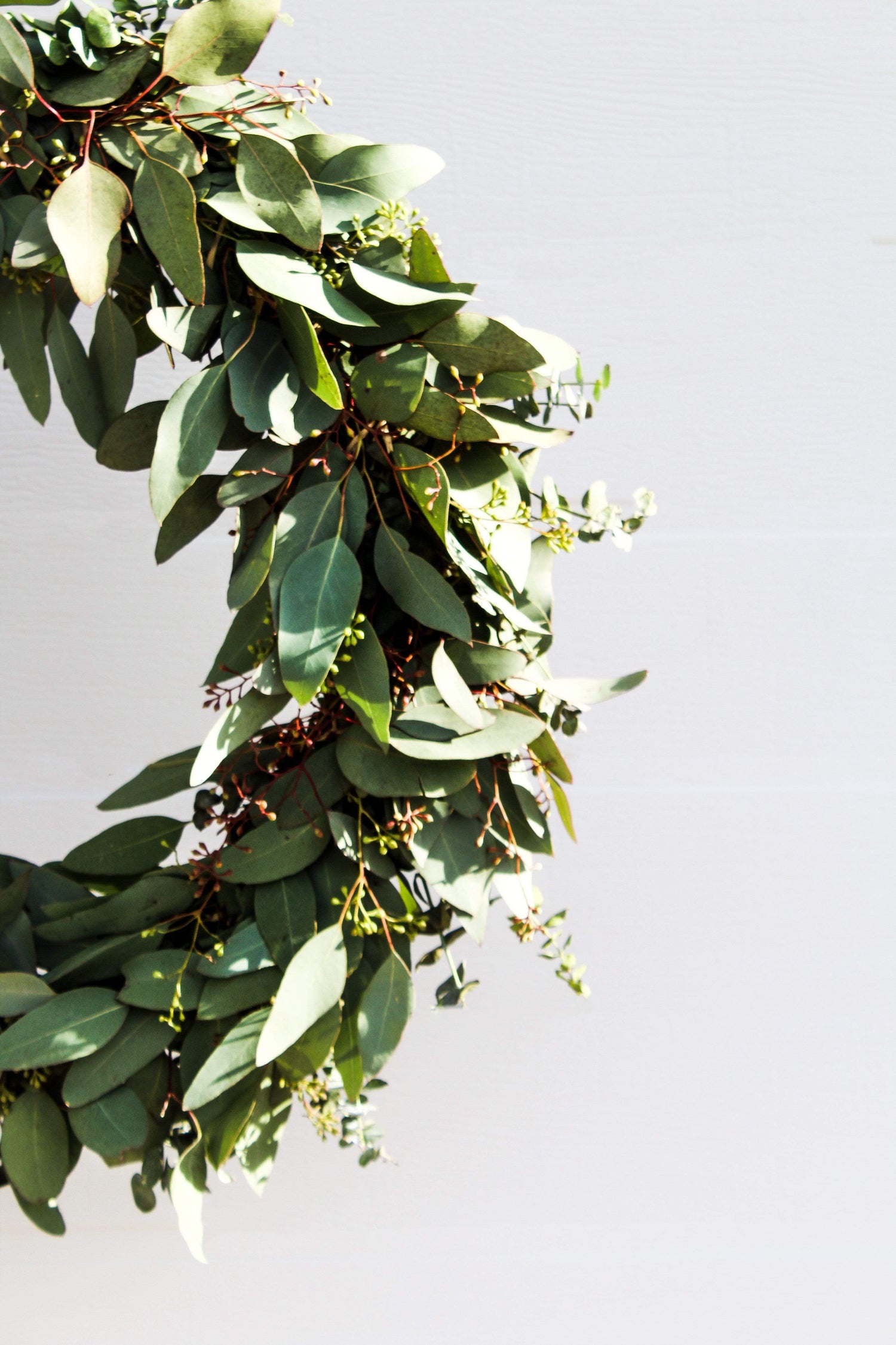 The Eucalyptus Festive Wreath Flowers