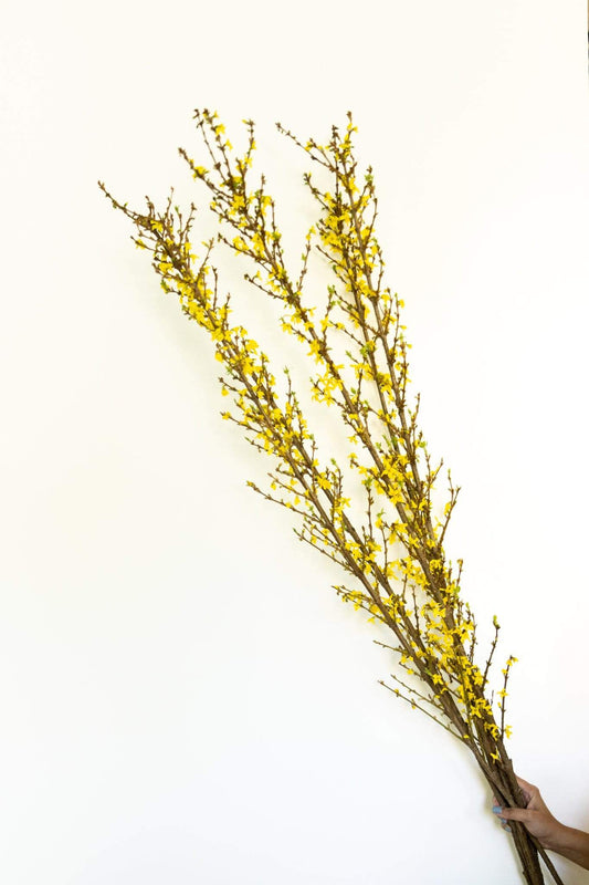 The Shining Halloween