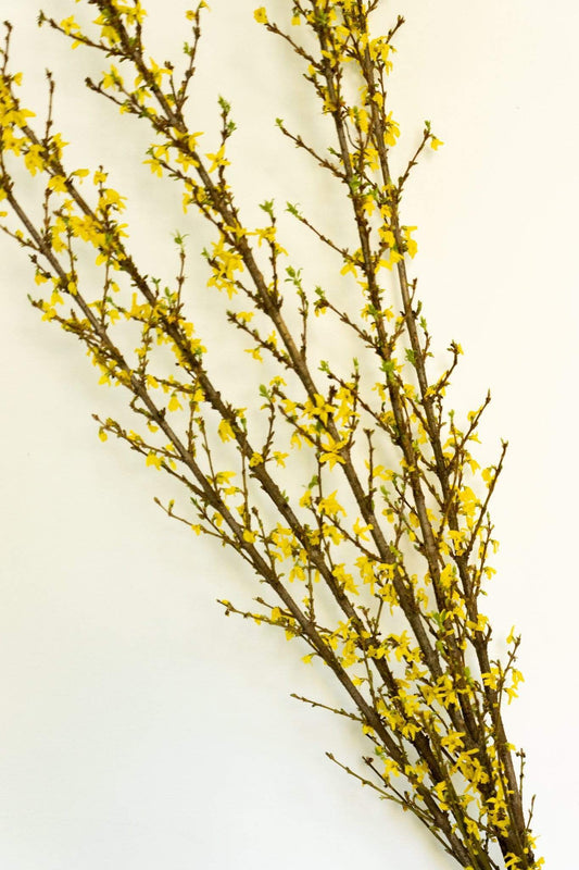 The Shining Halloween